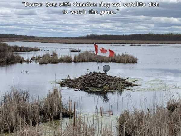 39 Random Pictures With Captions (39 photos)