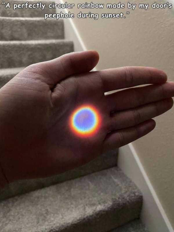 39 Random Pictures With Captions (39 photos)