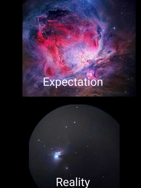 Expectation Vs Reality (44 photos)