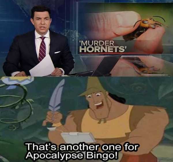 funny pics memes 17 1 47 Funny Pics, Just in Case You Haven’t Laughed Yet Today (47 photos)