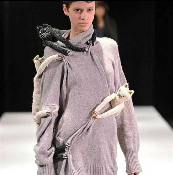 funny pics memes 29 1 47 Funny Pics, Just in Case You Haven’t Laughed Yet Today (47 photos)