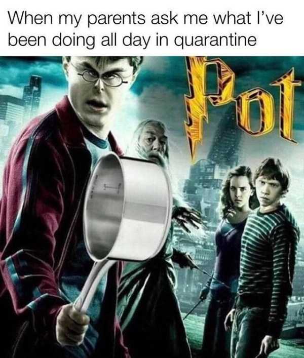 funny pics memes 33 1 47 Funny Pics, Just in Case You Haven’t Laughed Yet Today (47 photos)