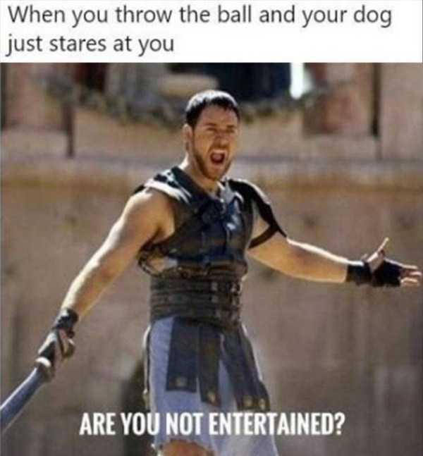 funny pics memes 45 1 47 Funny Pics, Just in Case You Haven’t Laughed Yet Today (47 photos)