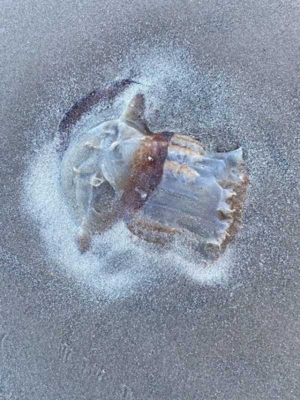 Just Look Twice (32 photos)