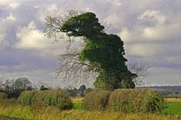 Just Look Twice (32 photos)