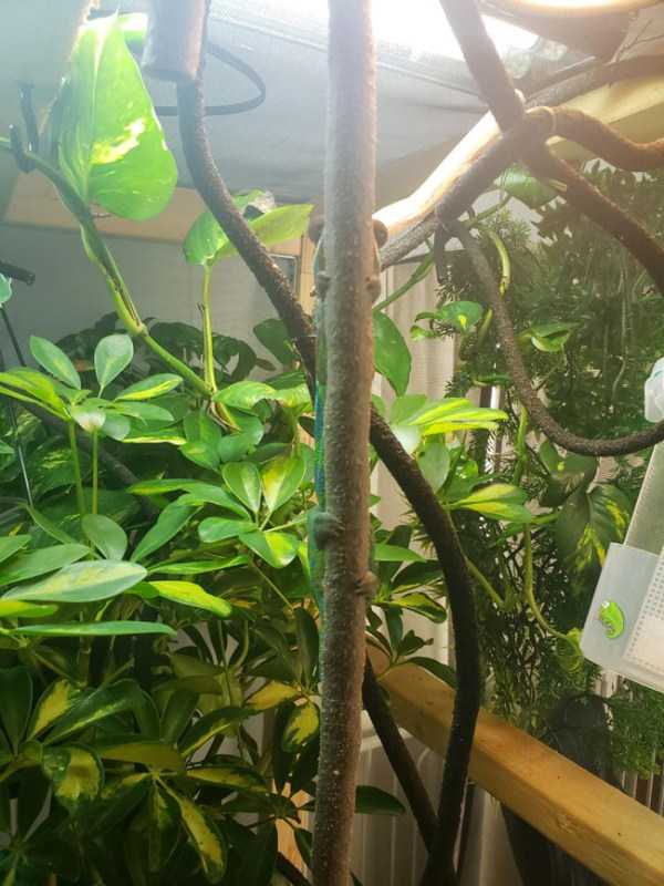 Just Look Twice (32 photos)