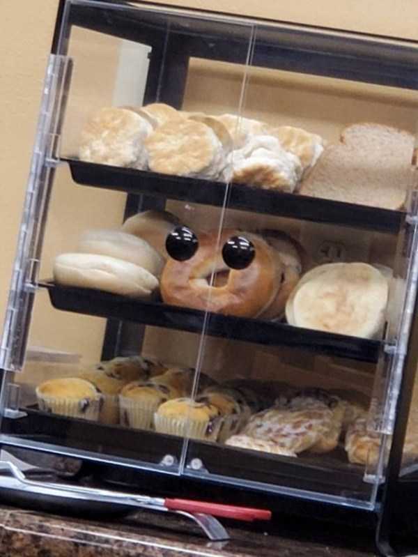 Just Look Twice (32 photos)