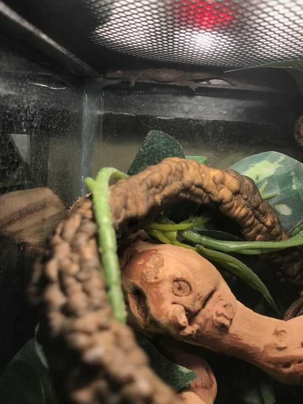 Just Look Twice (32 photos)