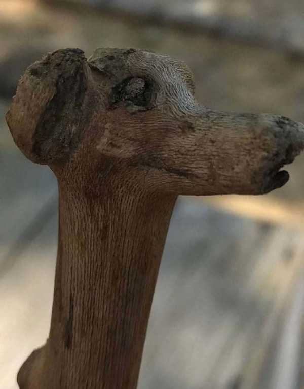 Just Look Twice (32 photos)