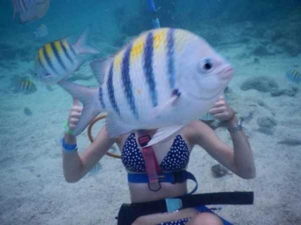 Just Look Twice (32 photos)