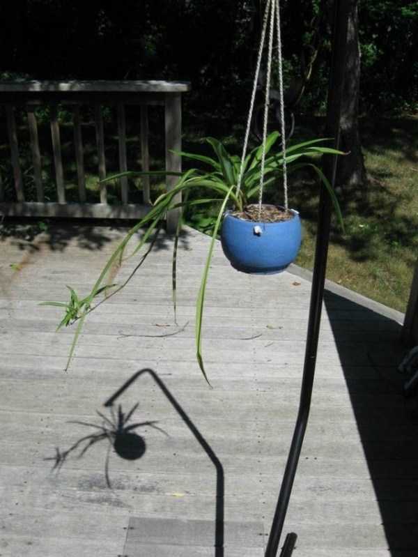 Just Look Twice (32 photos)