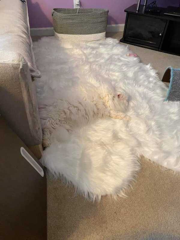 Just Look Twice (32 photos)