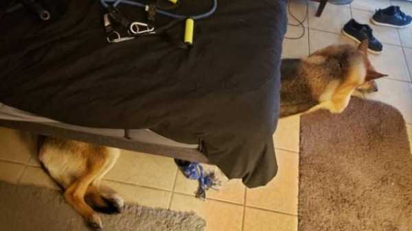 Just Look Twice (32 photos)