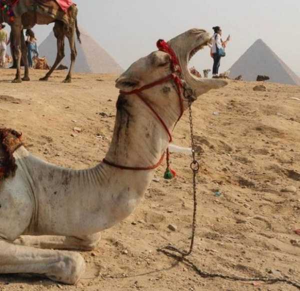 Just Look Twice (32 photos)