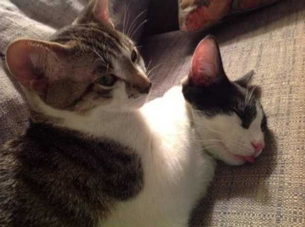 Just Look Twice (32 photos)