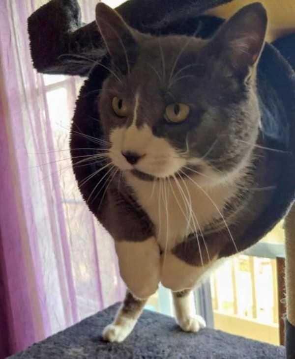 Just Look Twice (35 photos)