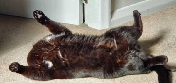 Just Look Twice (35 photos)