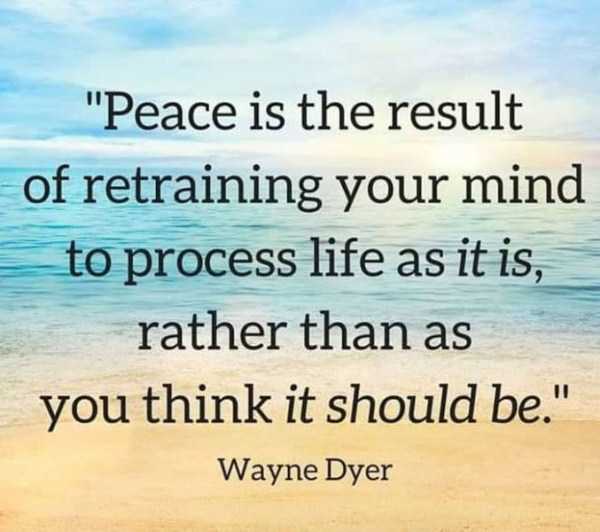 How About Some Motivation? (27 photos)