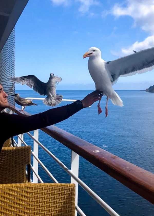 41 Perfectly Timed Photos