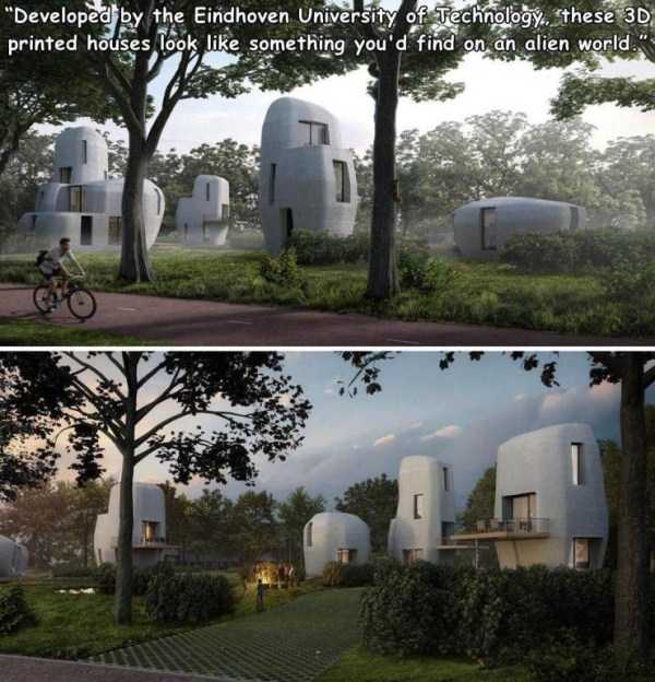 44 Random Pictures With Captions (44 photos)