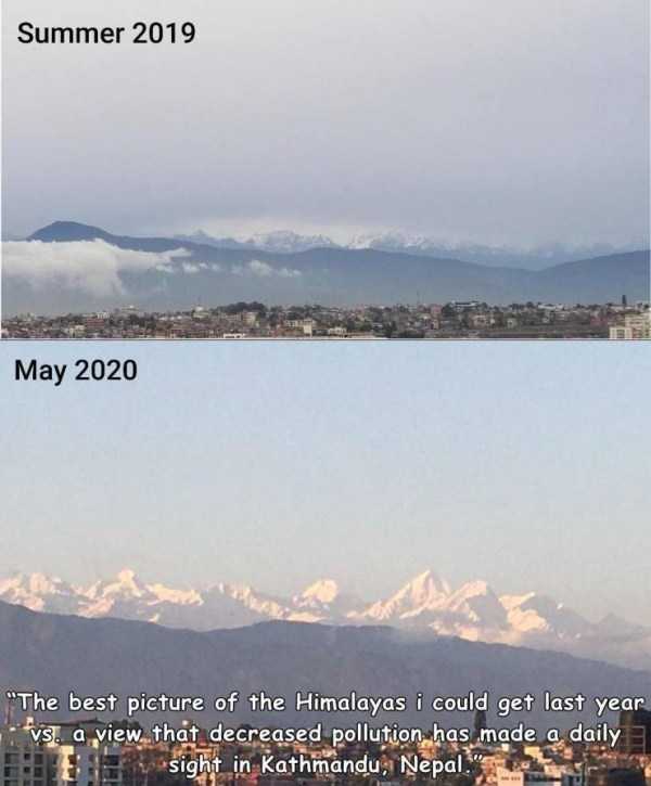 44 Random Pictures With Captions (44 photos)