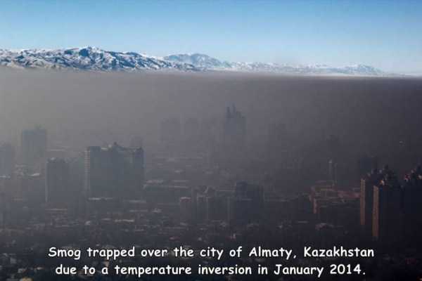 44 Random Pictures With Captions (44 photos)