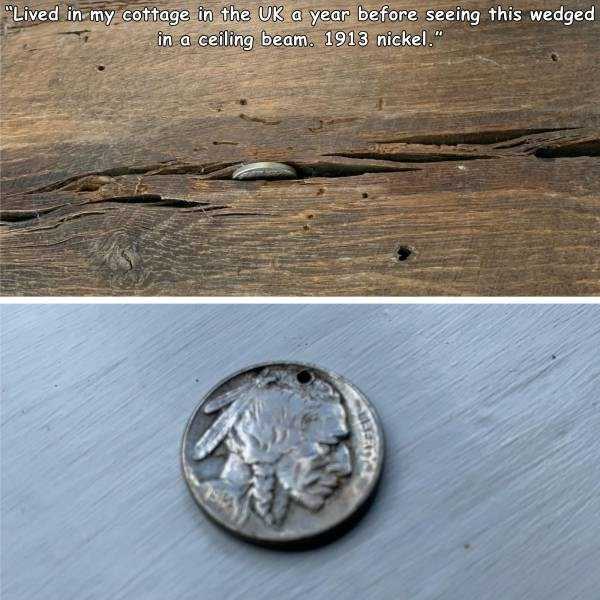 44 Random Pictures With Captions (44 photos)