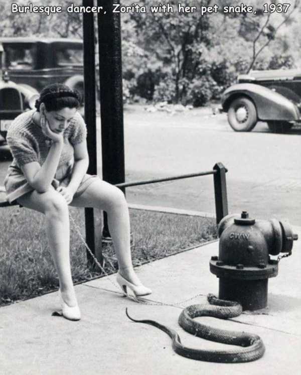 44 Random Pictures With Captions (44 photos)