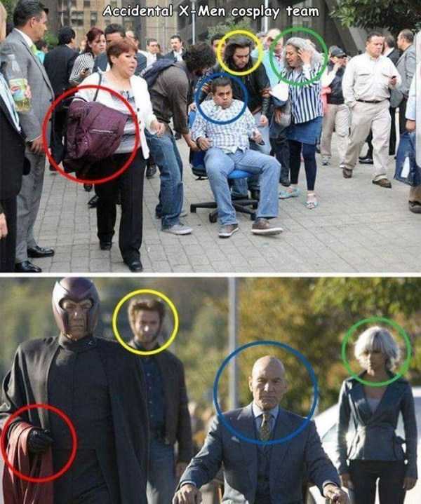 44 Random Pictures With Captions (44 photos)