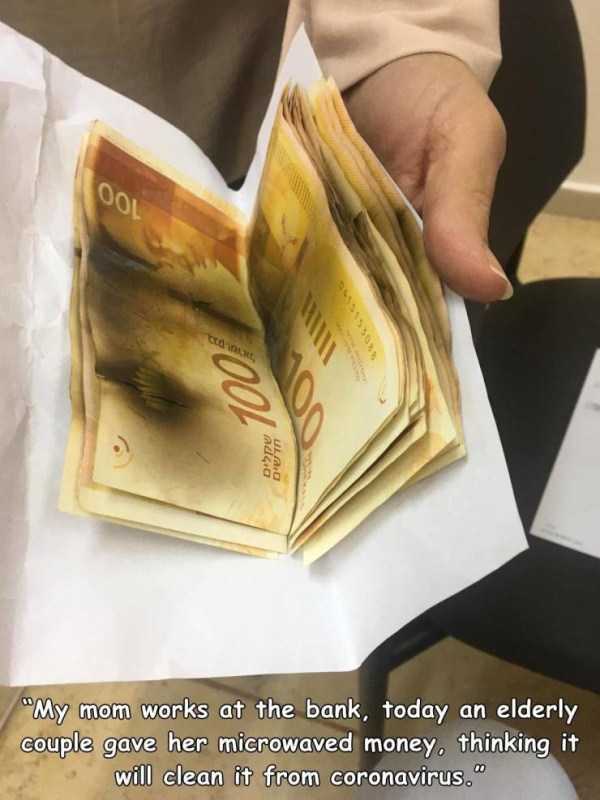 44 Random Pictures With Captions (44 photos)