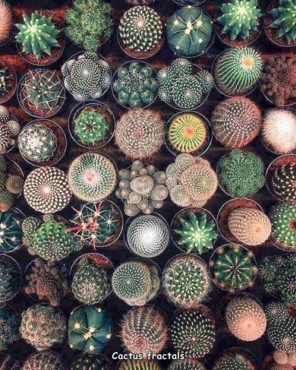 44 Random Pictures With Captions (44 photos)