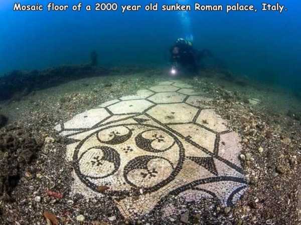 44 Random Pictures With Captions (44 photos)