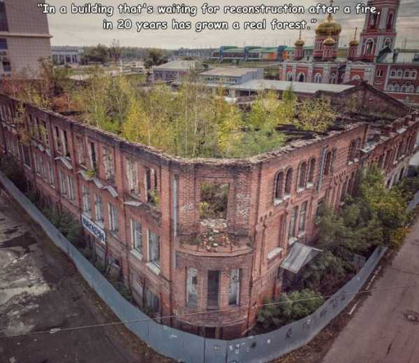 44 Random Pictures With Captions (44 photos)