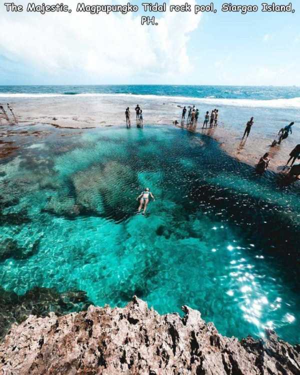 44 Random Pictures With Captions (44 photos)