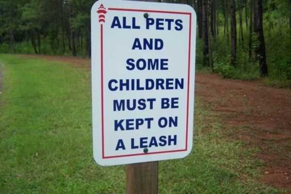 funny signs 8