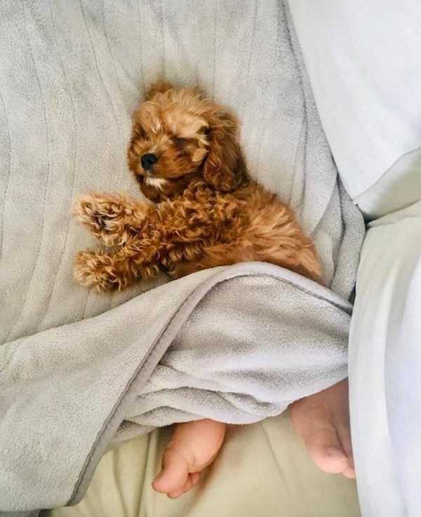 look twice pics 29