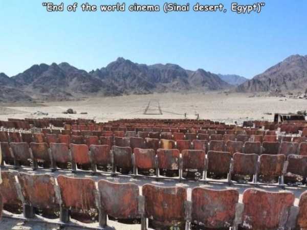 38 Random Pictures With Captions (38 photos)