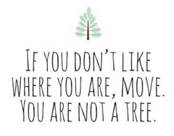 How About Some Motivation? (20 photos)