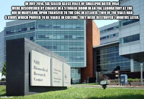 random fun trivia 17 It’s Time For Some Cool And Interesting Facts – Part 179 (44 photos)