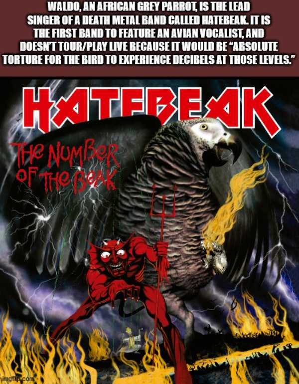 random fun trivia 20 It’s Time For Some Cool And Interesting Facts – Part 179 (44 photos)