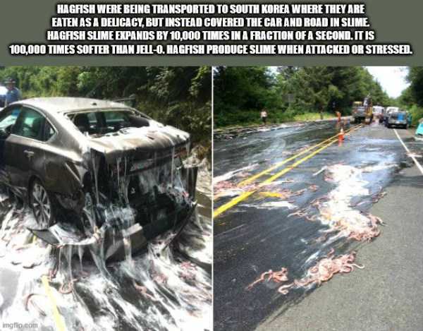 random fun trivia 21 It’s Time For Some Cool And Interesting Facts – Part 179 (44 photos)