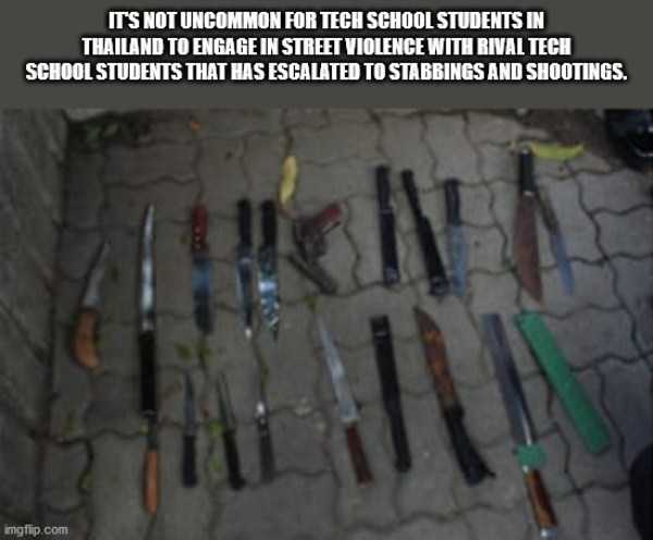 random fun trivia 3 It’s Time For Some Cool And Interesting Facts – Part 179 (44 photos)