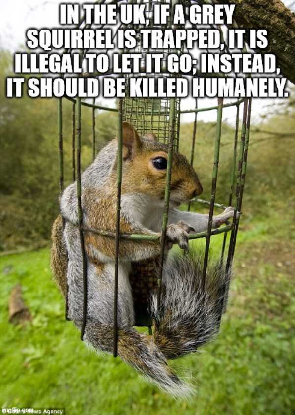 random fun trivia 33 It’s Time For Some Cool And Interesting Facts – Part 179 (44 photos)