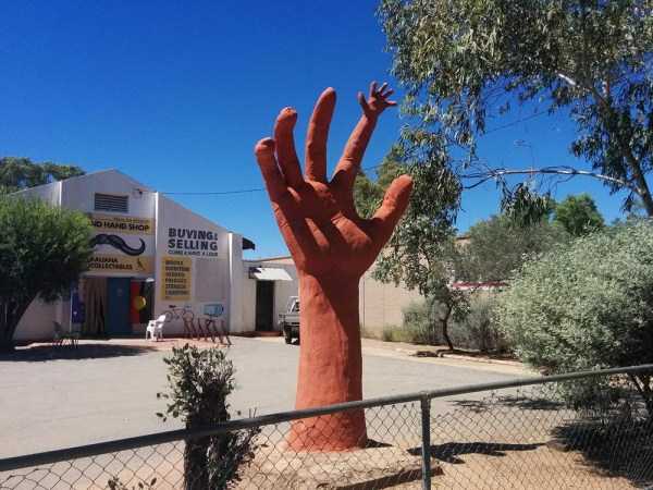 wtf images 25 1