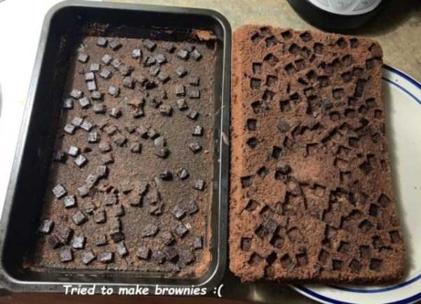 35 Random Pictures With Captions (35 photos)