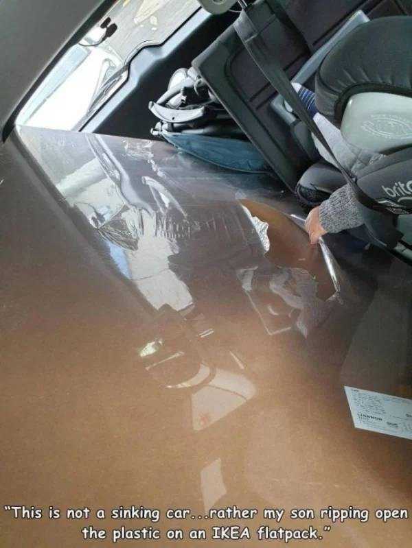 35 Random Pictures With Captions (35 photos)