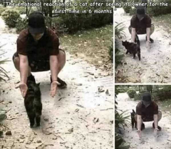 35 Random Pictures With Captions (35 photos)