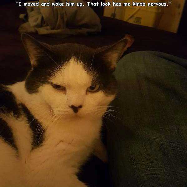35 Random Pictures With Captions (35 photos)