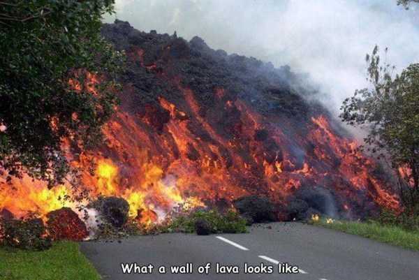 35 Random Pictures With Captions (35 photos)