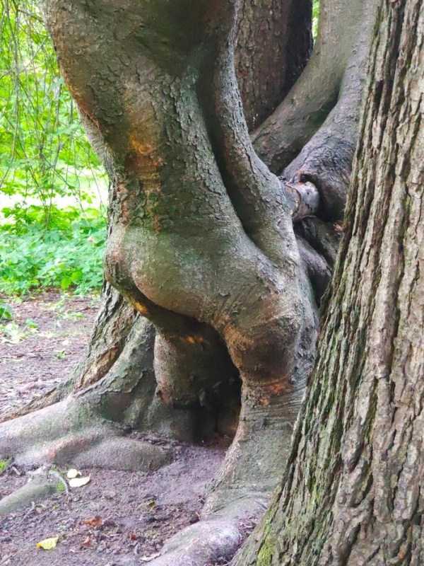 Put Your Dirty Mind To The Test – Part 53 (34 photos)